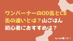 ダイハツキャンバスcmロケ地はどこ 湖のほとりのキャンプ場とは ウェルかめっと