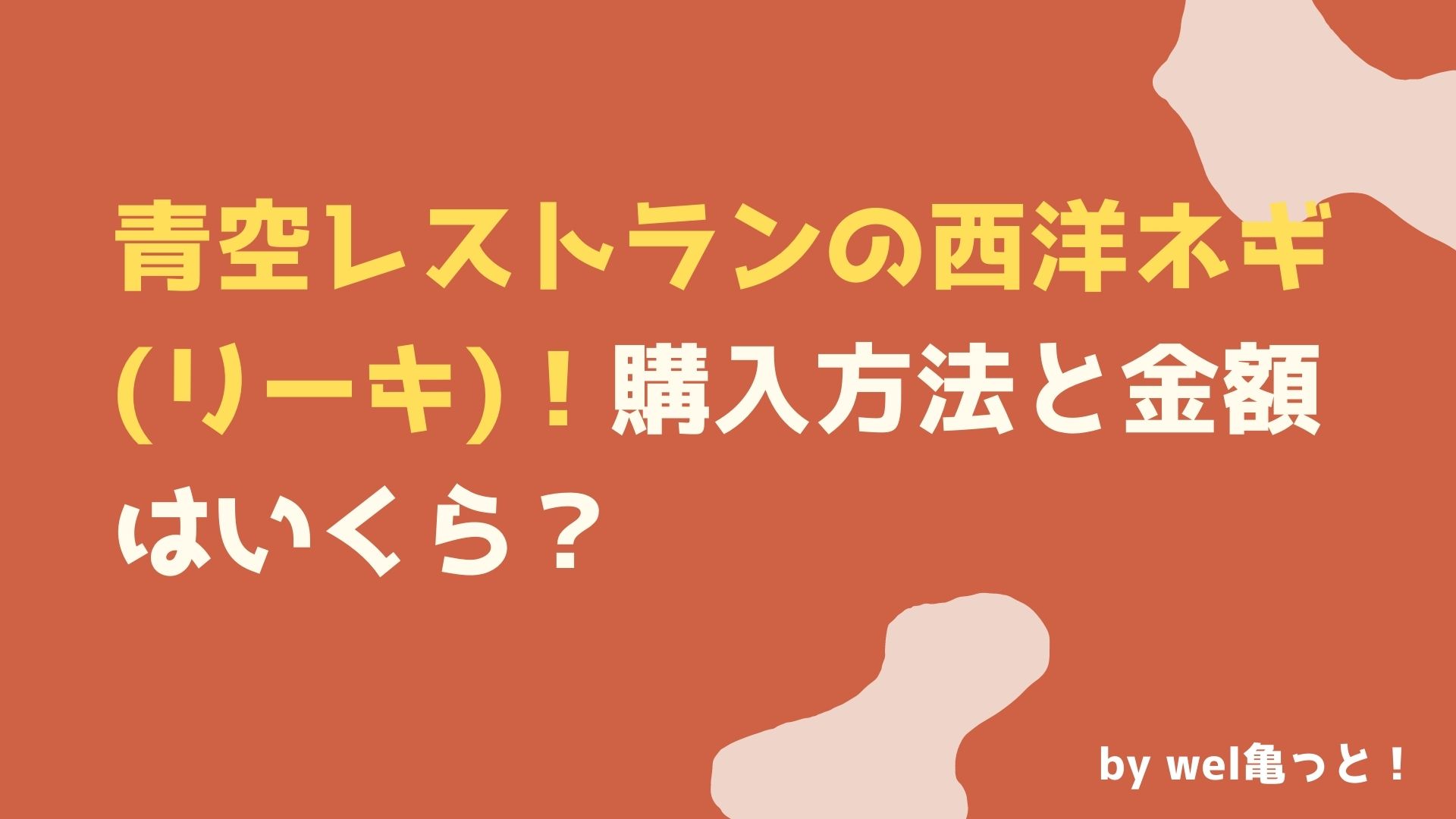 青空レストランの西洋ネギ(深谷リーキ)！購入方法と金額はいくら？ | ウェルかめっと！